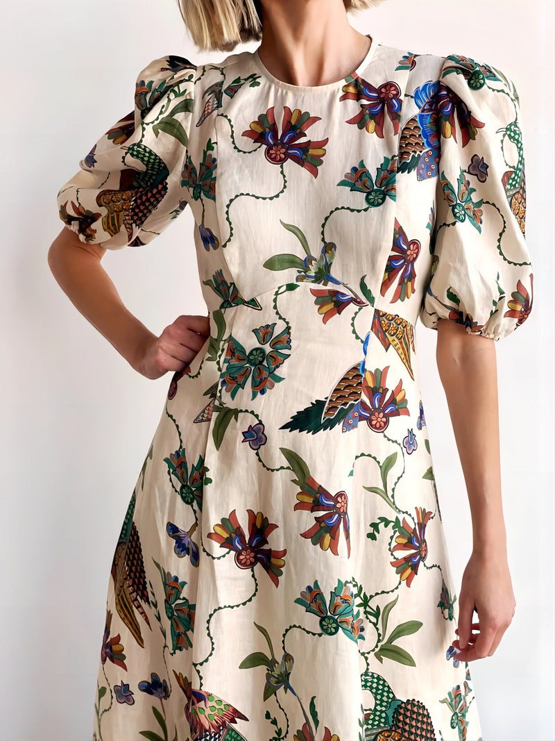 Gracefully Styled Dress for Any Occasion
